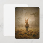 Deer in het bos kaart (Voorkant / Achterkant)