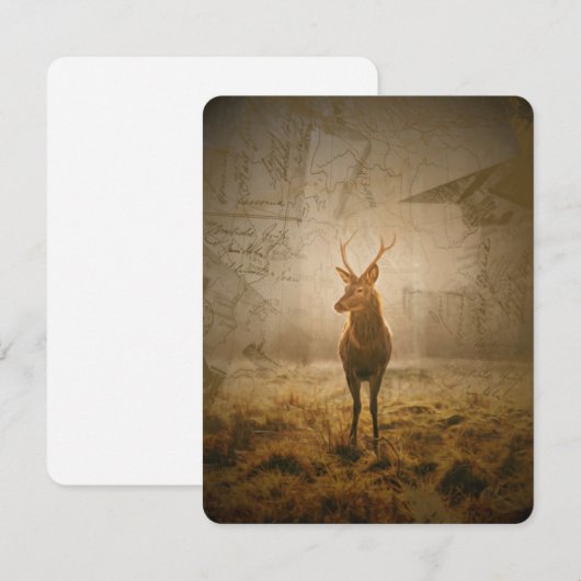 Deer in het bos kaart (Voorkant / Achterkant)