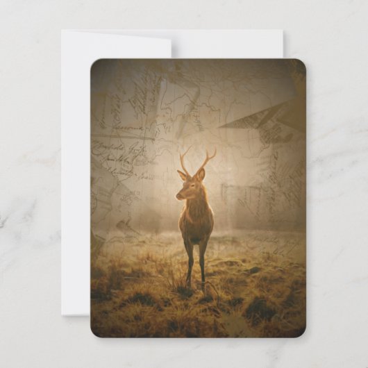 Deer in het bos kaart (Voorkant)