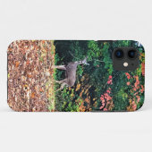 Deer in het bos, Oregon Case-Mate iPhone Case (Achterkant (horizontaal))