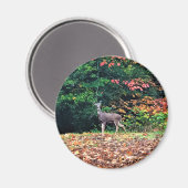 Deer in het bos, Oregon Magneet (Voorkant / Achterkant)