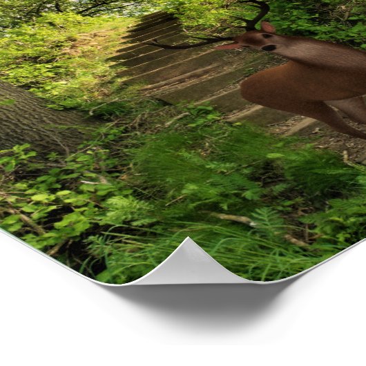 Deer in het bos. poster (Hoek)