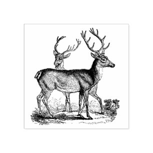  Deer in het bos Rubberstempel