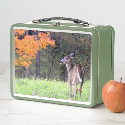 Deer in het najaar (In situ)