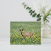 Deer in het nieuwe bos briefkaart (Staand voorkant)