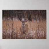 Deer in het park poster (Voorkant)