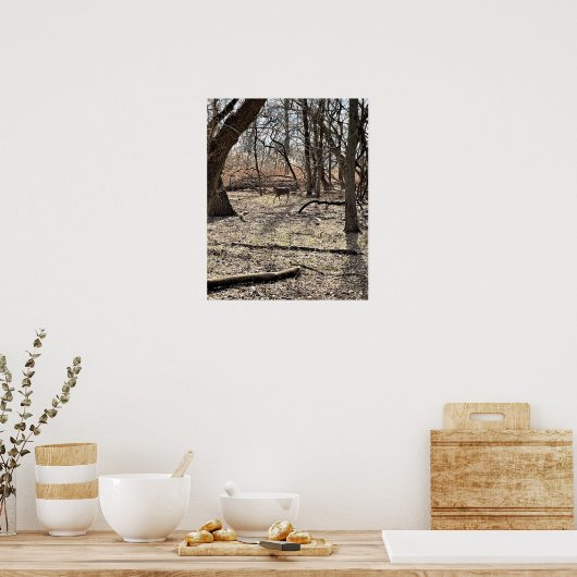 Deer in het Poster Bossen (Keuken)