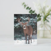 Deer in het sneeuwBriefkaart Briefkaart (Staand voorkant)