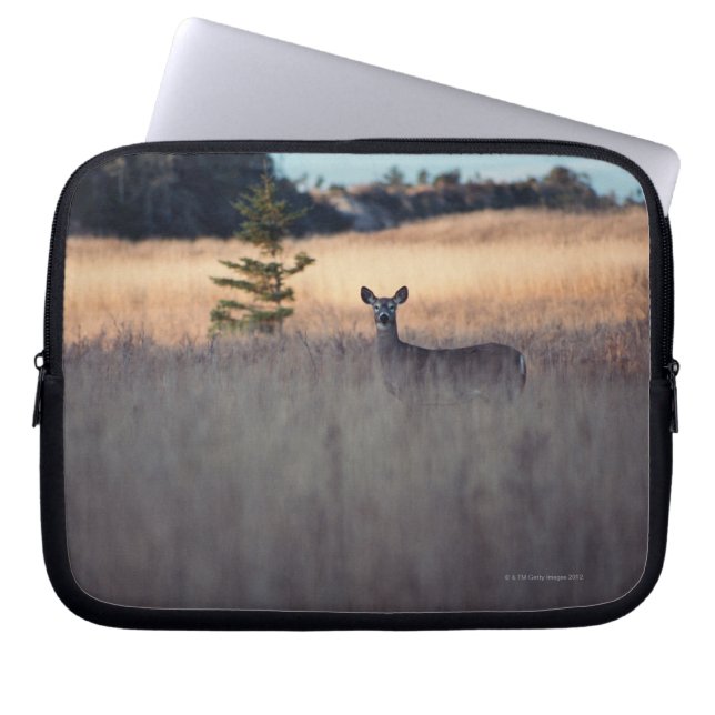 Deer in het veld laptop sleeve (Voorkant)