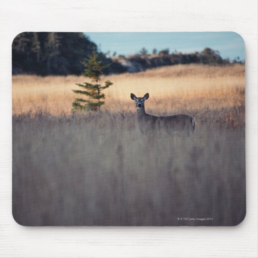 Deer in het veld muismat (Voorkant)