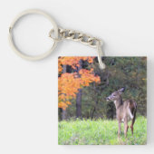 Deer in het veld sleutelhanger (Voorkant)