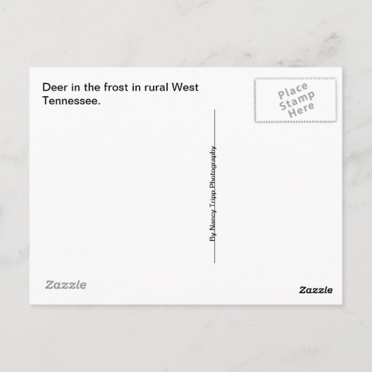 Deer in het voorste Briefkaart (Achterkant)