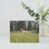 Deer in Paradise Park Briefkaart (Staand voorkant)