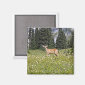 Deer in Paradise Park Magneet (Voorkant / Achterkant)