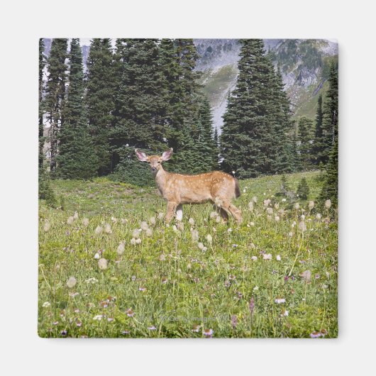 Deer in Paradise Park Magneet (Voorkant)