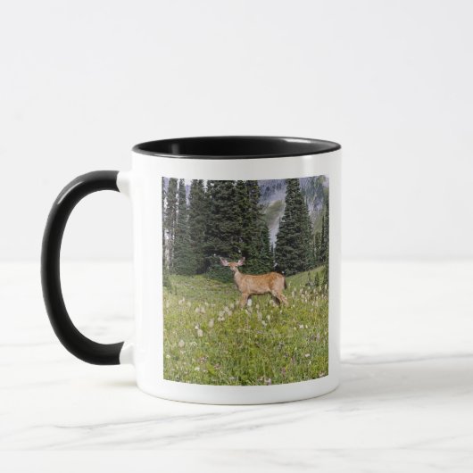 Deer in Paradise Park Mok (Links)