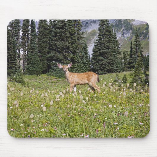 Deer in Paradise Park Muismat (Voorkant)