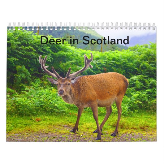 Deer in Schotland - Agenda Kalender (Hoes)