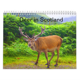 Deer in Schotland - Agenda Kalender