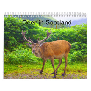 Deer in Schotland - Agenda Kalender