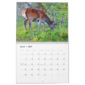 Deer in Schotland - Agenda Kalender (Mar 2027)