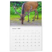 Deer in Schotland - Agenda Kalender (Jan 2027)