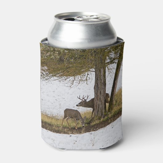 DEER IN SNEE BLIKJESKOELER (Blikje Voorkant)