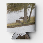 DEER IN SNEE BLIKJESKOELER (Voorkant)