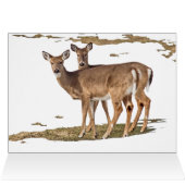 Deer in sneeuw (Binnen Horizontaal (Boven))