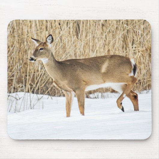 Deer in sneeuw muismat (Voorkant)
