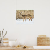 Deer in sneeuw poster (Keuken)