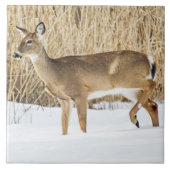 Deer in sneeuw tegeltje (Voorkant)