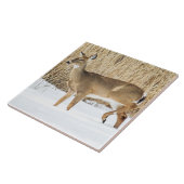 Deer in sneeuw tegeltje (Zijkant)