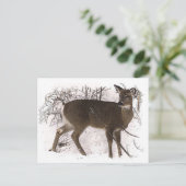 Deer in Snow Briefkaart (Staand voorkant)
