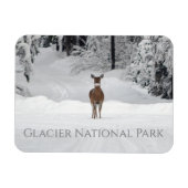 Deer in Snow, Glacier National Park Magneet (Horizontaal)