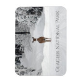 Deer in Snow, Glacier National Park Magneet (Verticaal)