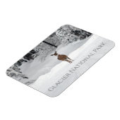 Deer in Snow, Glacier National Park Magneet (Linkerzijde)