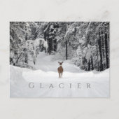 Deer in Snowy Clearing, Glacier National Park, MT Briefkaart (Voorkant)