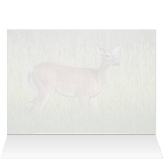 Deer in Tall Grass (Binnen Horizontaal (Boven))