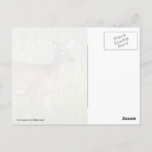 Deer in Tall Grass Briefkaart (Achterkant)