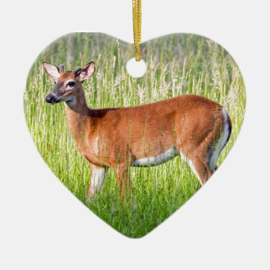 Deer in Tall Grass Keramisch Ornament (Voorkant)