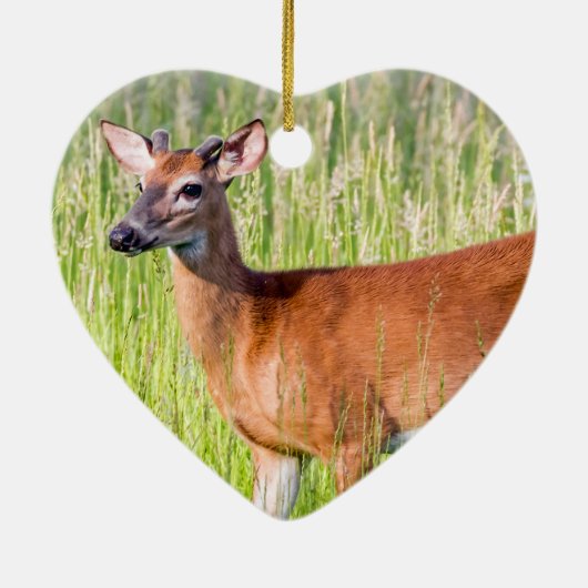 Deer in Tall Grass Keramisch Ornament (Achterkant)
