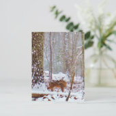 Deer in the snow, licking leg briefkaart (Staand voorkant)