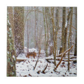 Deer in the snow, licking leg tegeltje (Voorkant)