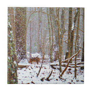 Deer in the snow, licking leg tegeltje