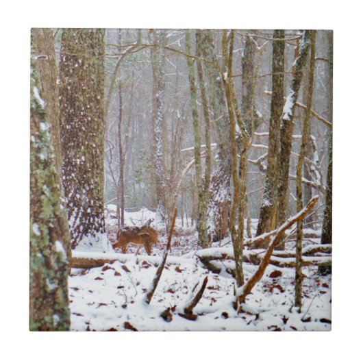 Deer in the snow, licking leg tegeltje (Voorkant)