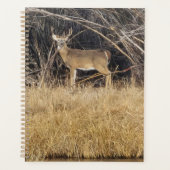 Deer in the Thicket Planner (Voorkant)