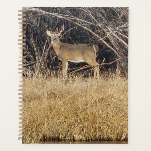 Deer in the Thicket Planner (Voorkant)
