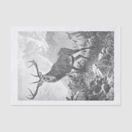 Deer in Tissue Paper High Mountains Tissuepapier (Voorkant)
