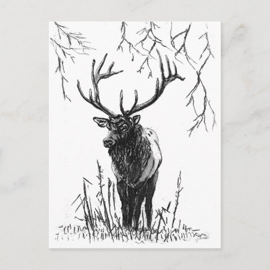 Deer-jacht, vakantie-briefkaart feestdagenkaart (Voorkant)